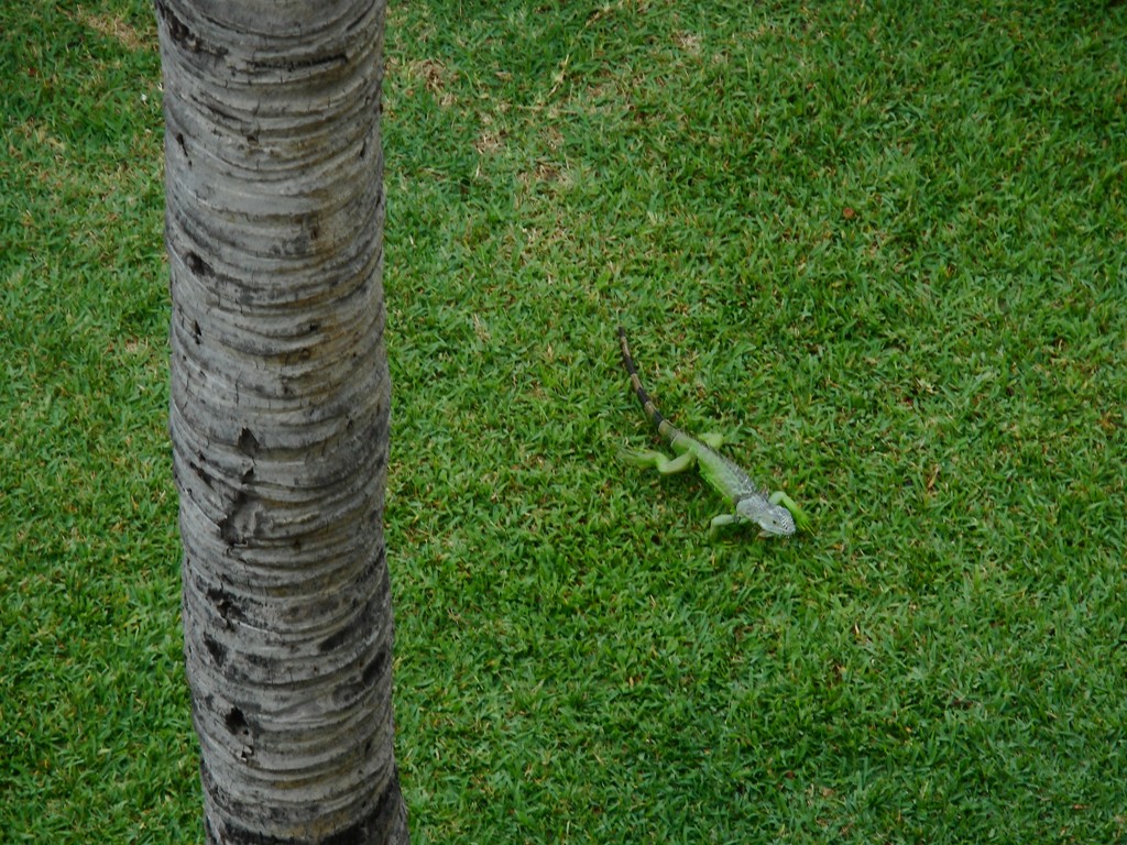 DSCN1054.JPG