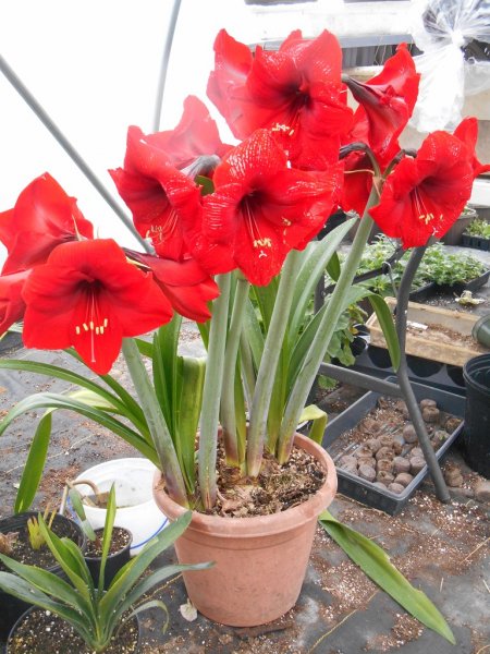 DSCN2104.jpg