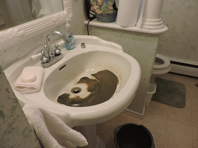 DSCN2345.JPG