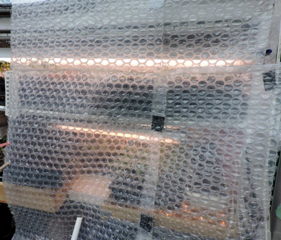 DSCN2407.JPG