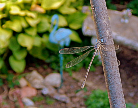 DSCN2442.JPG