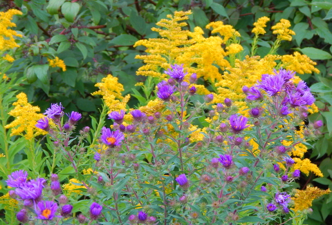 DSCN2562.JPG
