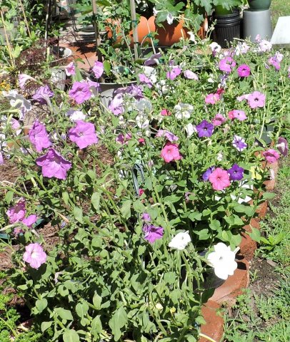 DSCN2905.JPG