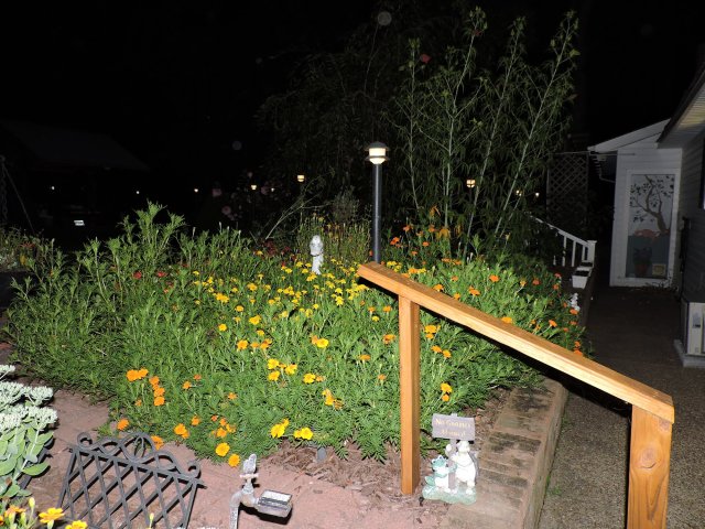 DSCN3056.JPG