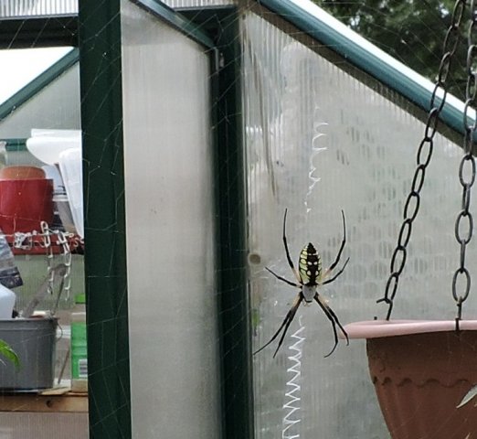 DSCN3091.JPG