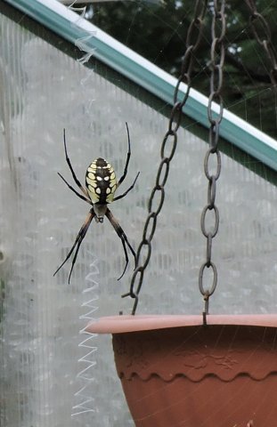 DSCN3108.JPG