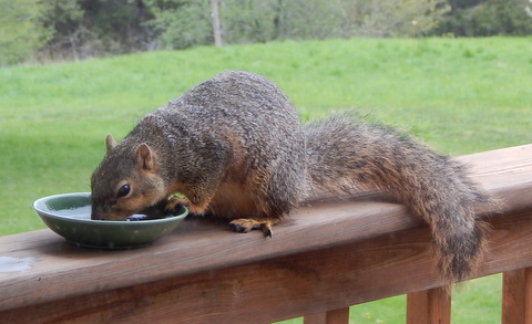 DSCN3246.JPG