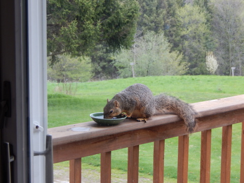 DSCN3246.JPG