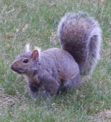 DSCN3428.JPG