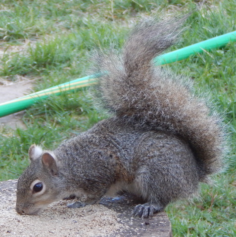 DSCN3438.JPG