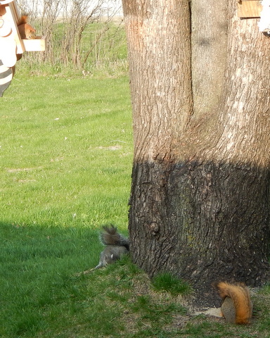 DSCN3440.JPG