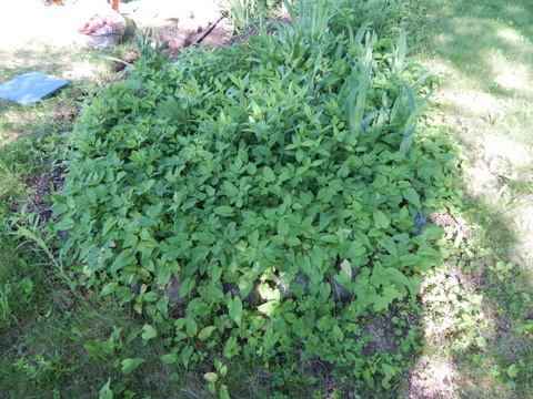 DSCN3504.JPG