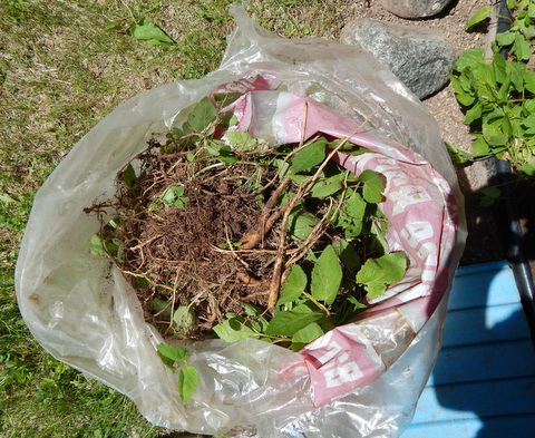 DSCN3509.JPG