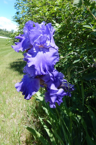 DSCN3515.JPG