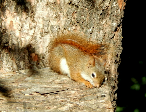 DSCN3524.JPG