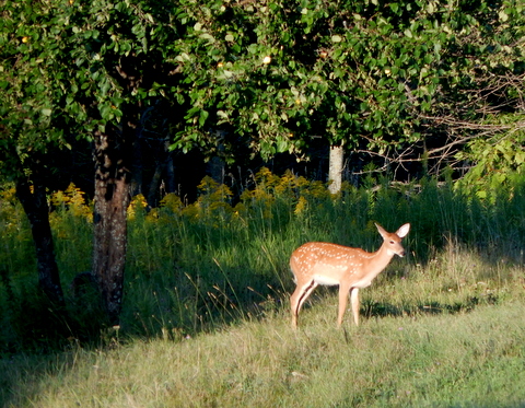 DSCN3581.JPG