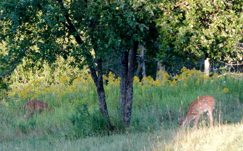 DSCN3582.JPG