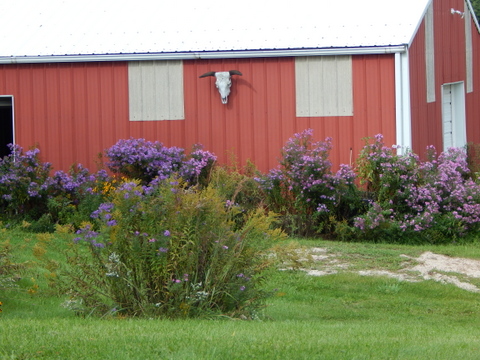 DSCN3637.JPG