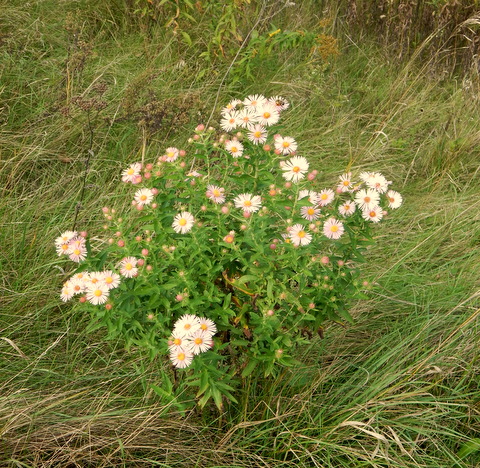 DSCN3641.JPG