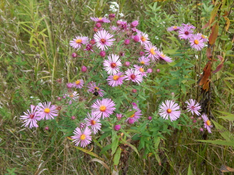 DSCN3645.JPG