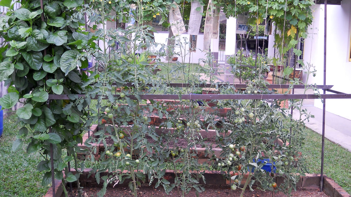 DSCN3825.JPG