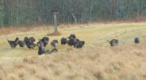 DSCN3861.JPG