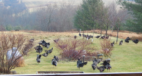 DSCN3868.JPG