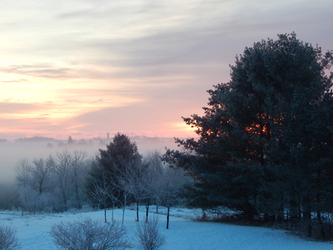 DSCN3910.JPG