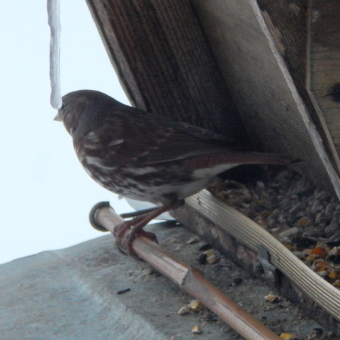 DSCN3922.JPG