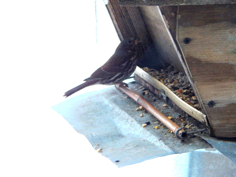 DSCN3923.JPG