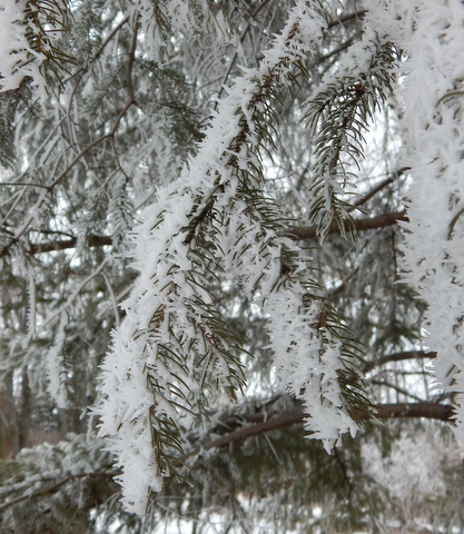DSCN3943.JPG