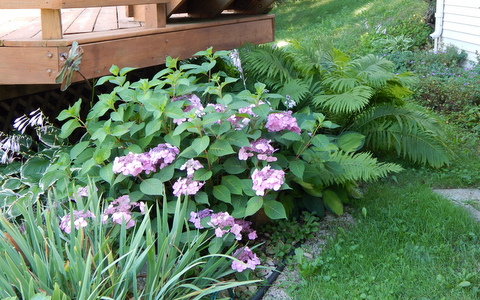 DSCN4264.JPG