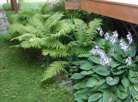 DSCN4265.JPG
