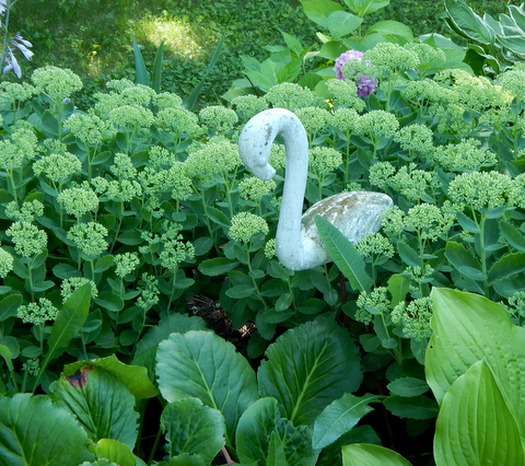 DSCN4266.JPG