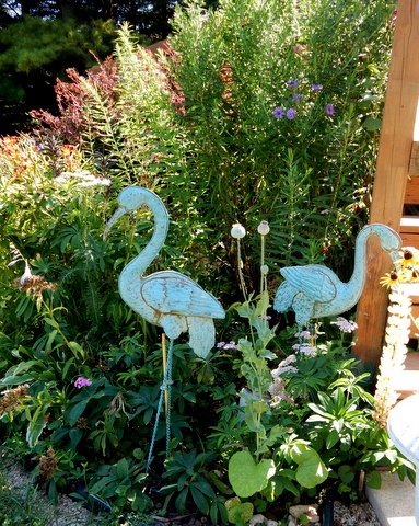 DSCN4269.JPG