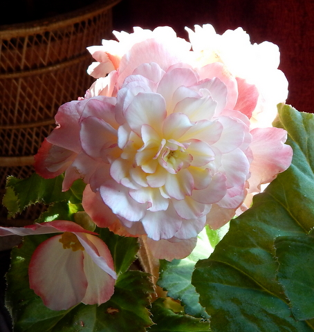 DSCN4455.JPG