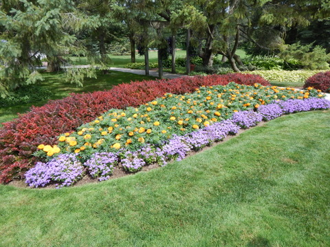 DSCN4495.JPG