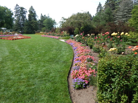 DSCN4503.JPG