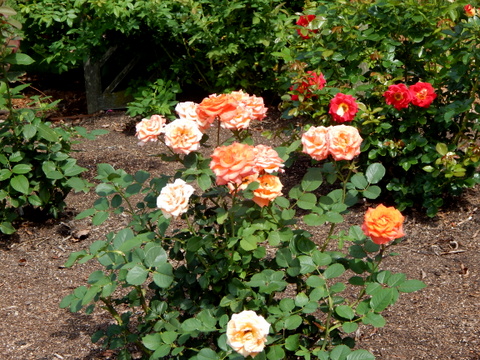 DSCN4504.JPG
