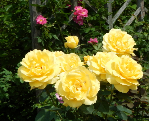 DSCN4505.JPG
