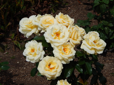 DSCN4507.JPG