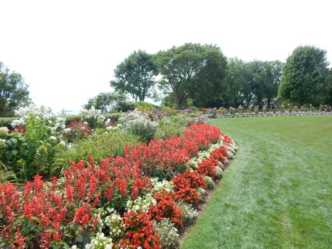 DSCN4529.JPG