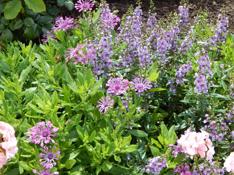 DSCN4533.JPG