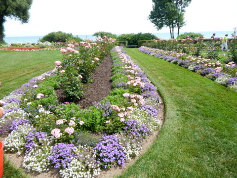 DSCN4534.JPG