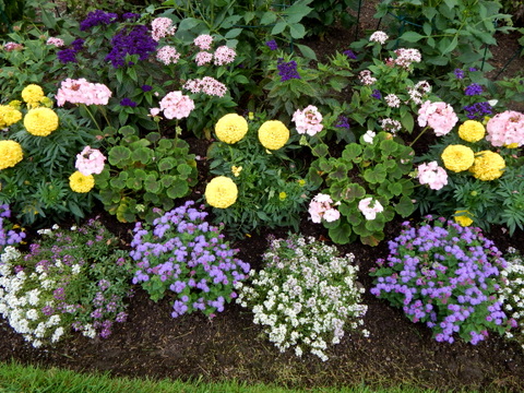 DSCN4541.JPG