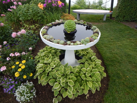 DSCN4542.JPG