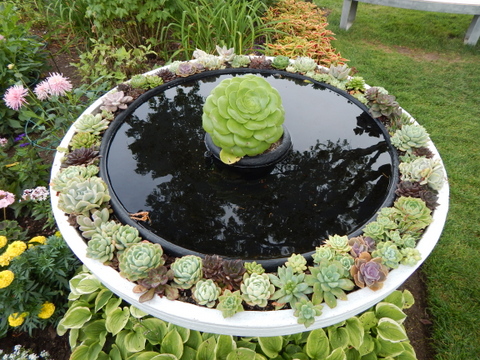 DSCN4543.JPG