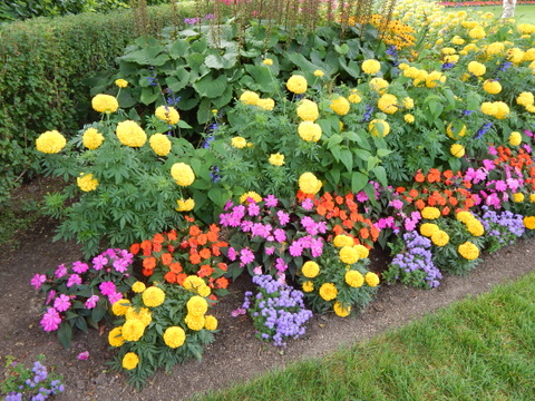 DSCN4546.JPG