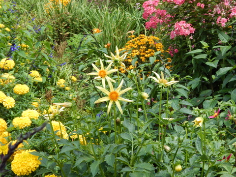 DSCN4549.JPG
