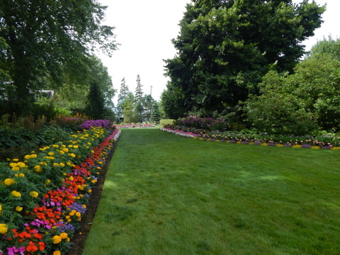 DSCN4554.JPG
